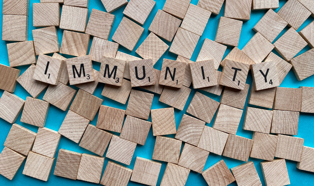 Sistema immunitario come rafforzarlo prima dell’inverno