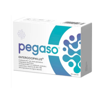 PEGASO GONFIORE 60CPS