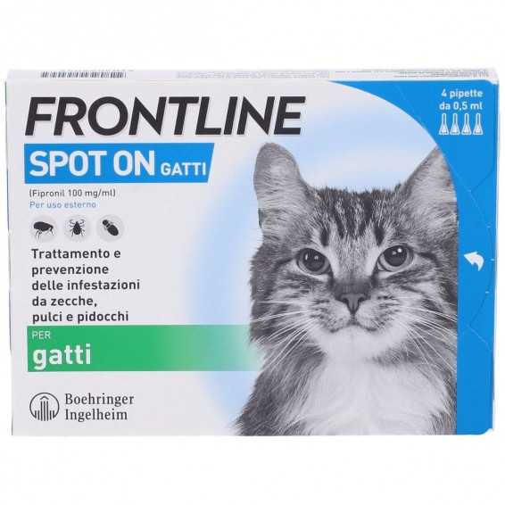 FRONTLINE 4PIP GATTI