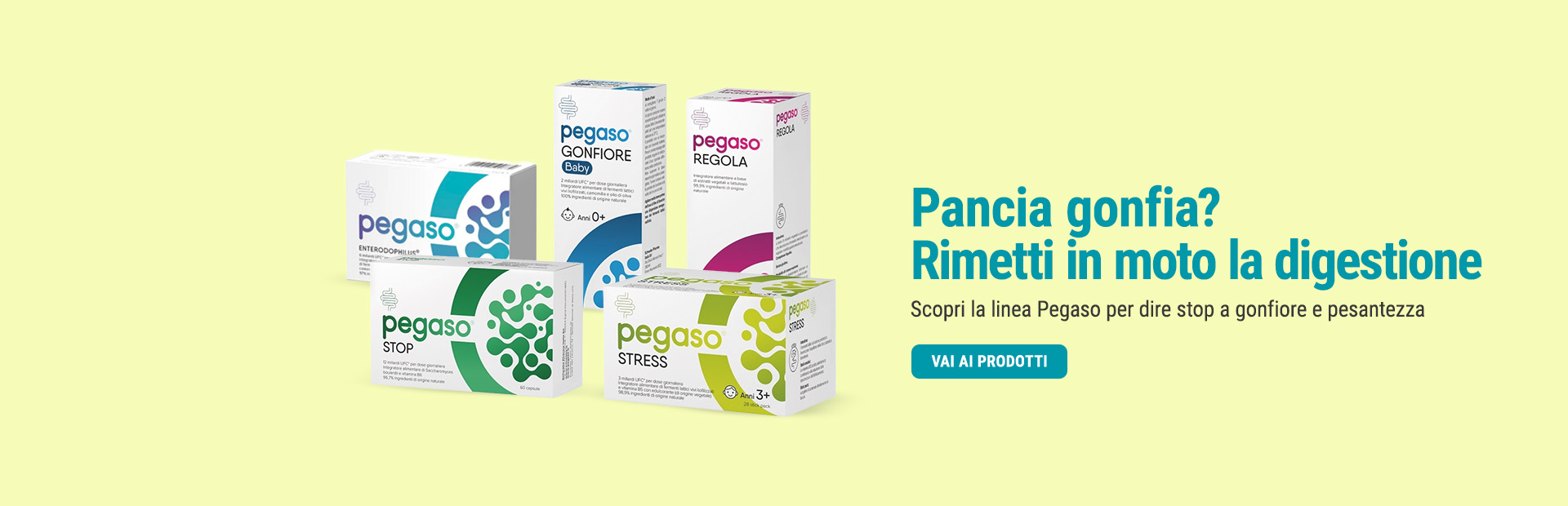 linea pegaso