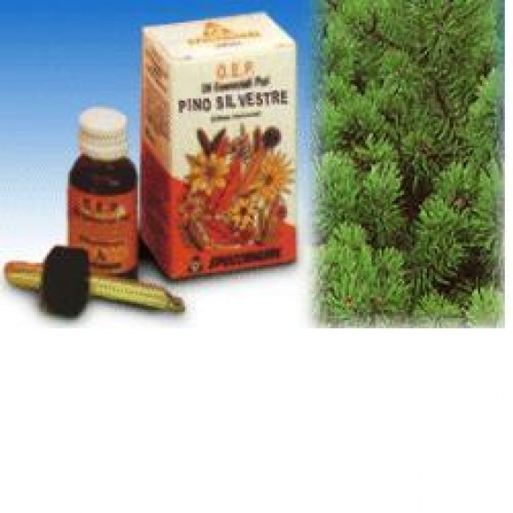 PINO SILVESTRE OE PURO 10ML