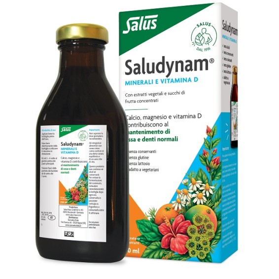 SALUDYNAM 250ML