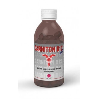 CARNITON B 12 80CPR