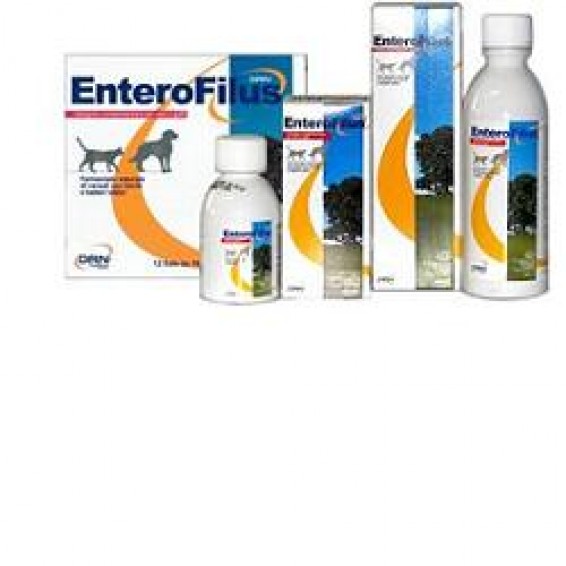 ENTEROFILUS MANG SEMPL 100ML