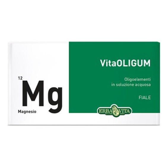 VITAOLIGUM MAGNESIO 20F