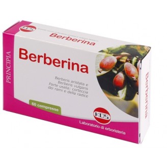 BERBERINA ESTRATTO SECCO 60CPR