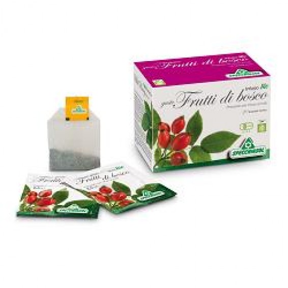 INFUSO BIO FRUTTA BOSCO 20FILT