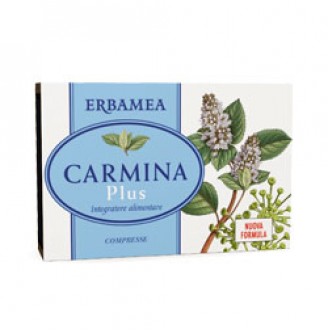 CARMINA PLUS 24CPR 19,2G