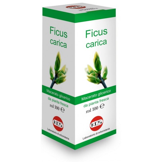 FICUS CARICA MG 100ML GTT