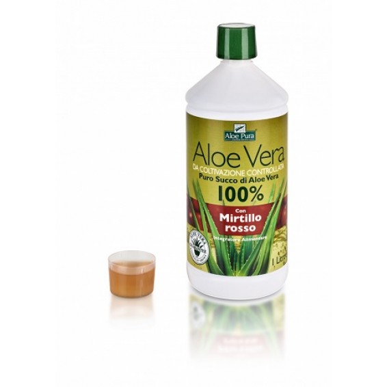 ALOE VERA SUCCO MIRTILLO 1L