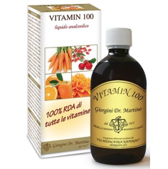 VITAMIN 100 LIQUIDO ANALC500ML