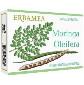 MORINGA OLEIFERA 24CPS MORINGA OLEIFERA 24CPS