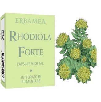 RHODIOLA FORTE 24CPS