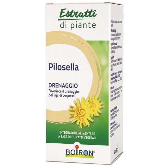 PILOSELLA BOI EI 60ML INT