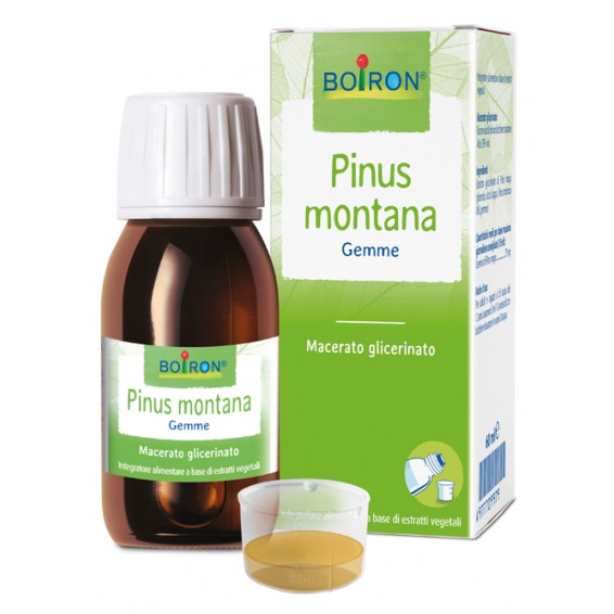 PINUS MONTANA BOI MG 60ML INT