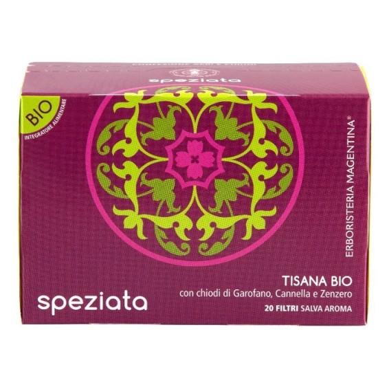 TISANA SPEZIATA BIO 20FILT