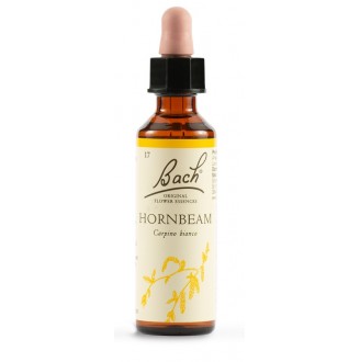 HORNBEAM BACH ORIG 20ML