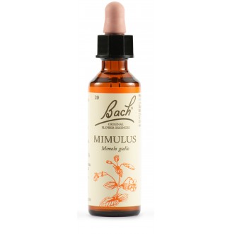 MIMULUS BACH ORIG 20ML