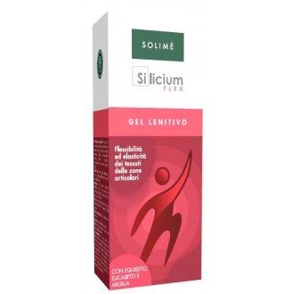 SILICIUM FLEX GEL 100ML