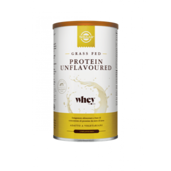 PROTEIN UNFLAVOURED 377G