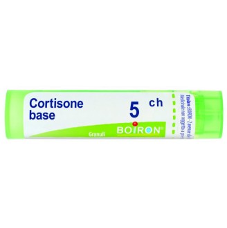 CORTISONE 5CH GR 4G CORTISONE 5CH GR 4G