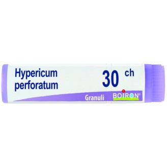 HYPERICUM PERF 30CH GL 1G HYPERICUM PERF 30CH GL 1G