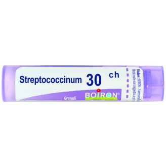 STREPTOCOCCINUM 30CH GR 4G STREPTOCOCCINUM 30CH GR 4G