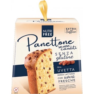 NUTRIFREE PANETTONE S/CANDITI