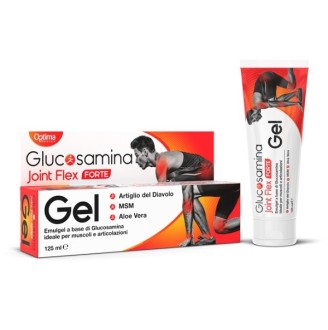 GLUCOSAMINA JOINT FLEX GEL FT