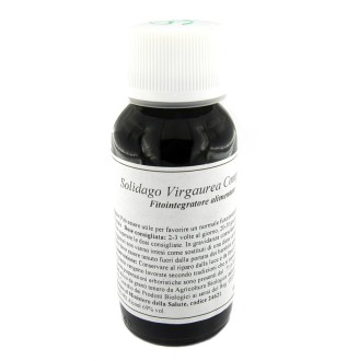 LVS 07N SOLIDAGO VIRGAURE COMP