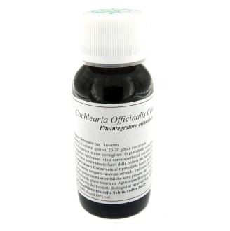 LVS 11N COCHLEARIA OFF COMP