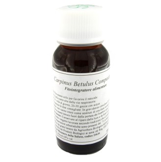 LVS 20N CARPINUS BETULUS COMP