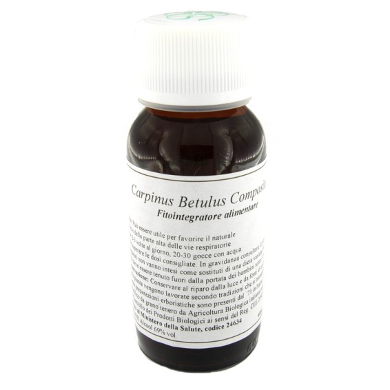 LVS 20N CARPINUS BETULUS COMP