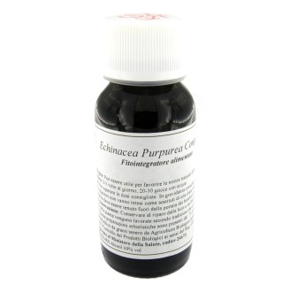 LVS 67S ECHINACEA PURPUREA COM