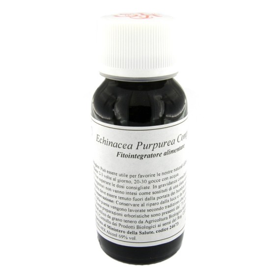 LVS 67S ECHINACEA PURPUREA COM