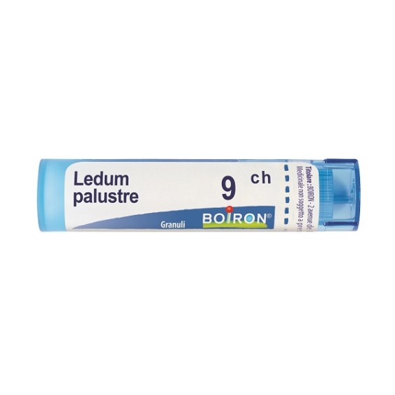 LEDUM PALUSTRE 9CH GR